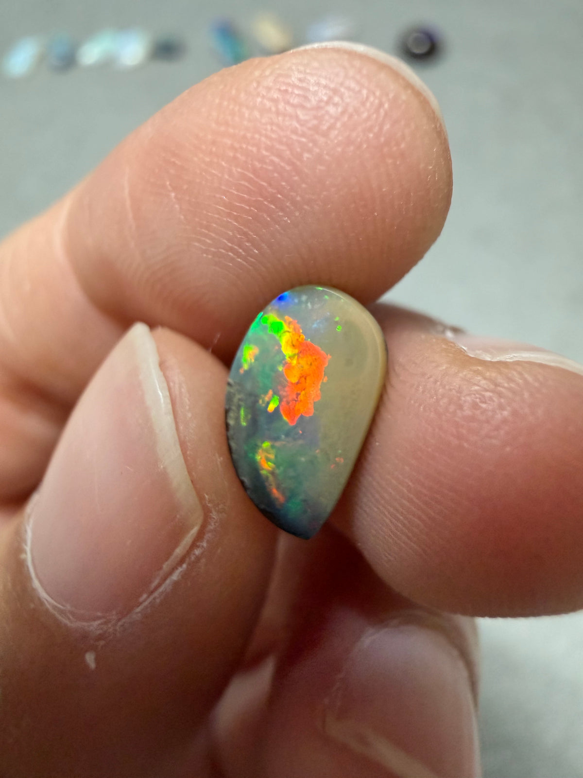 31. Bird Boulder Opal
