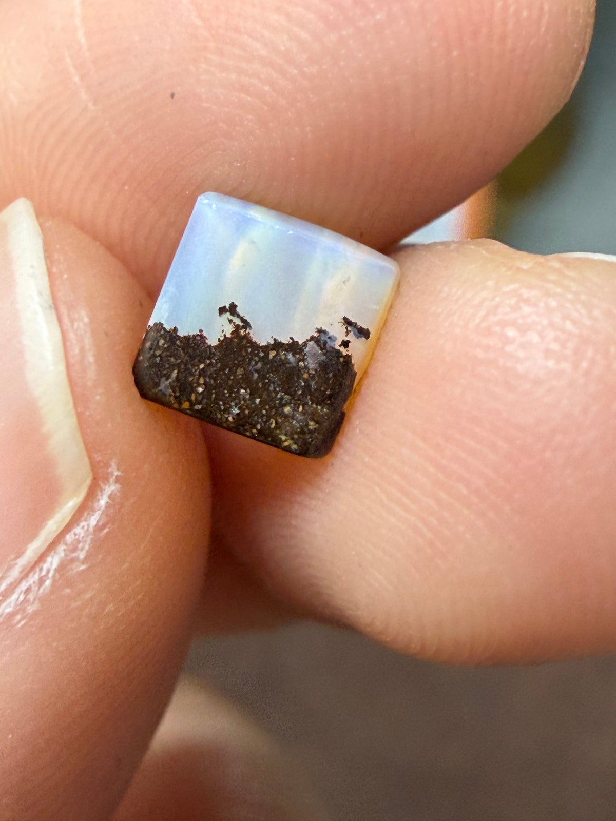 12. Boulder Opal surprise opal