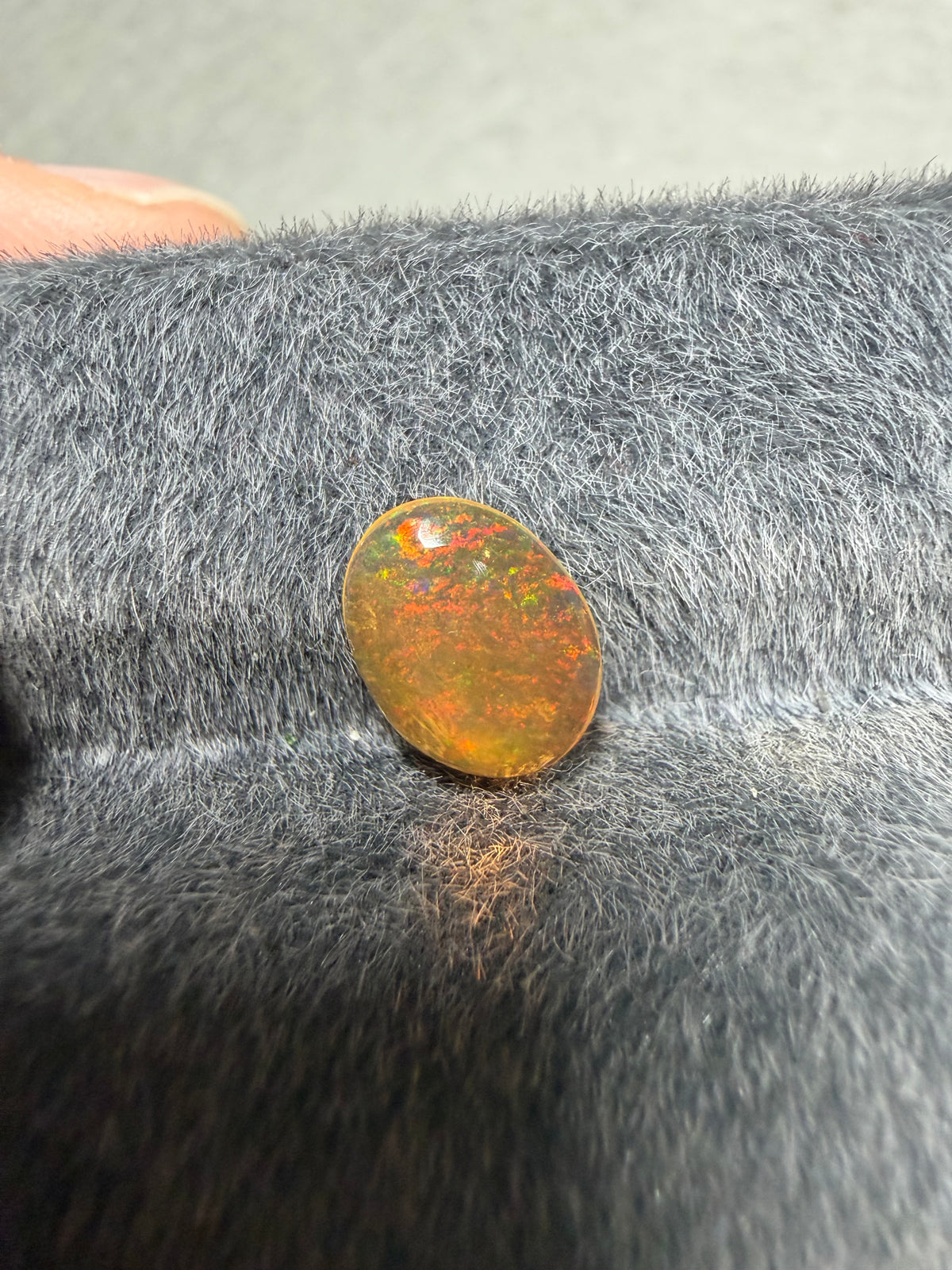 12.Surprise fire opal red velvet