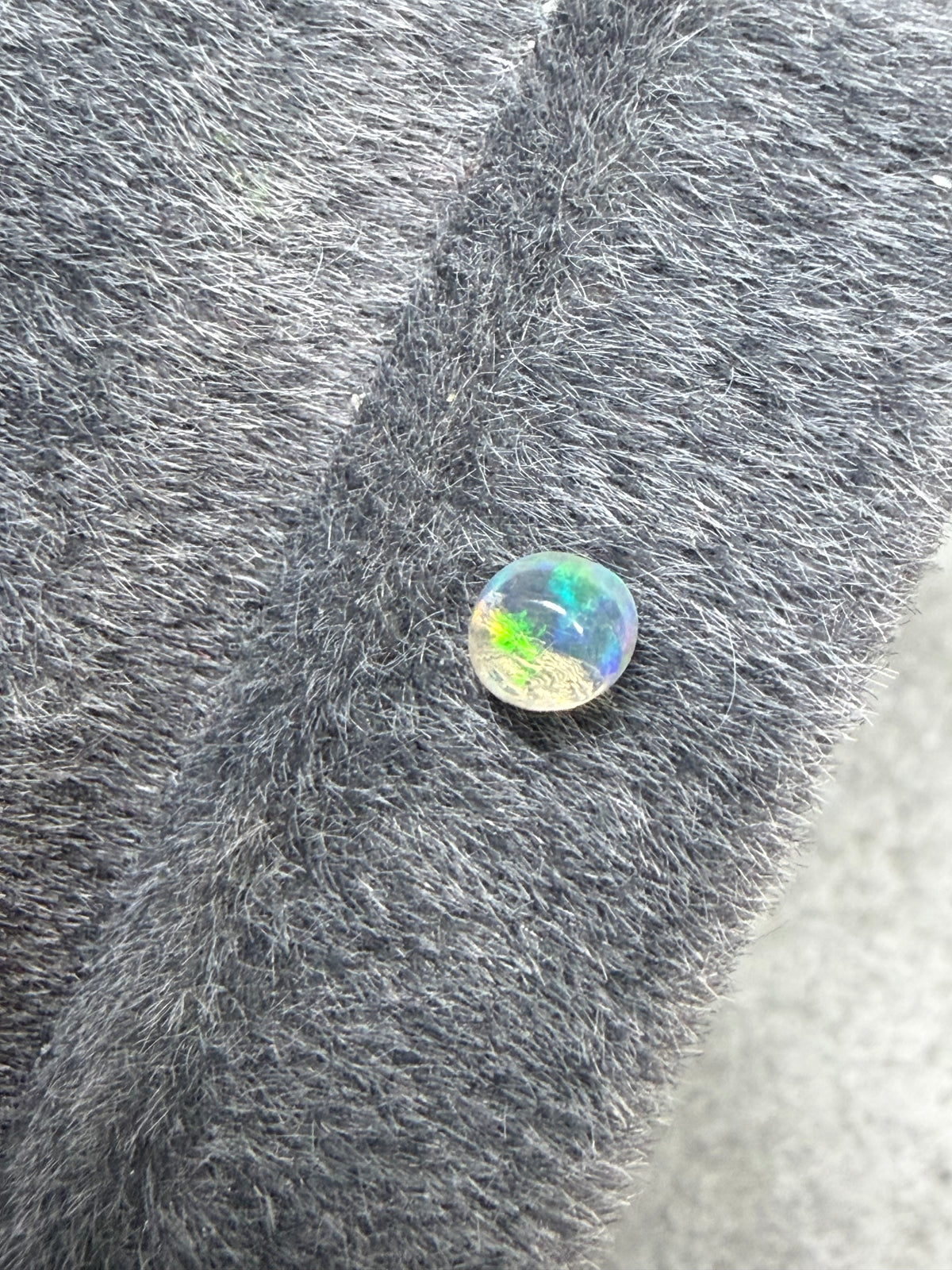 36.Little raindrop blueberry Mexican fire Opal