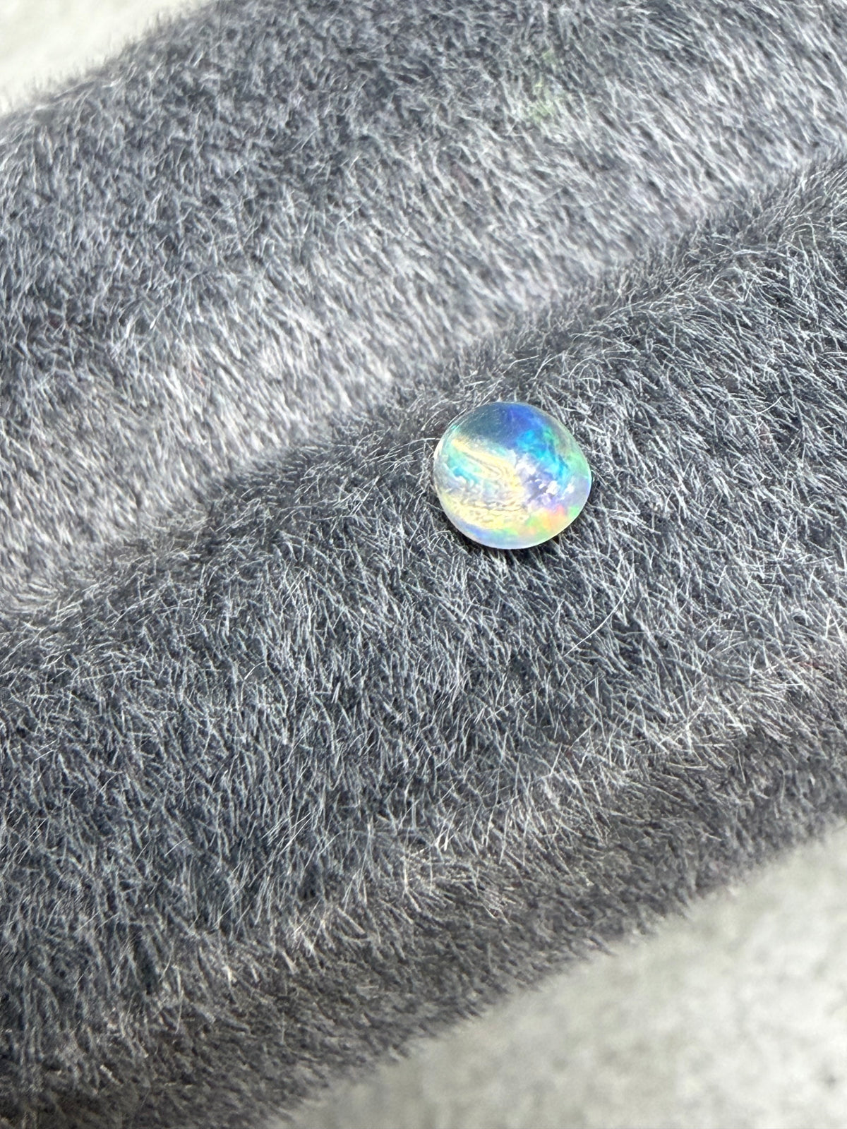36.Little raindrop blueberry Mexican fire Opal