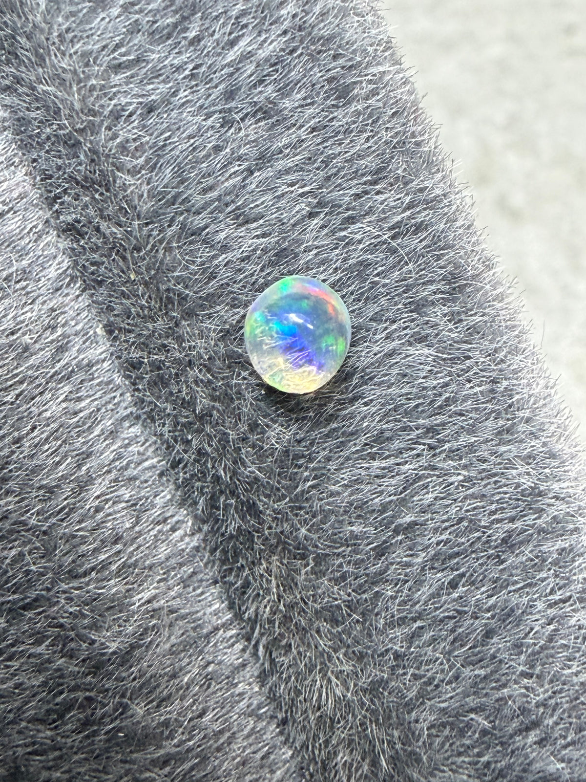 36.Little raindrop blueberry Mexican fire Opal