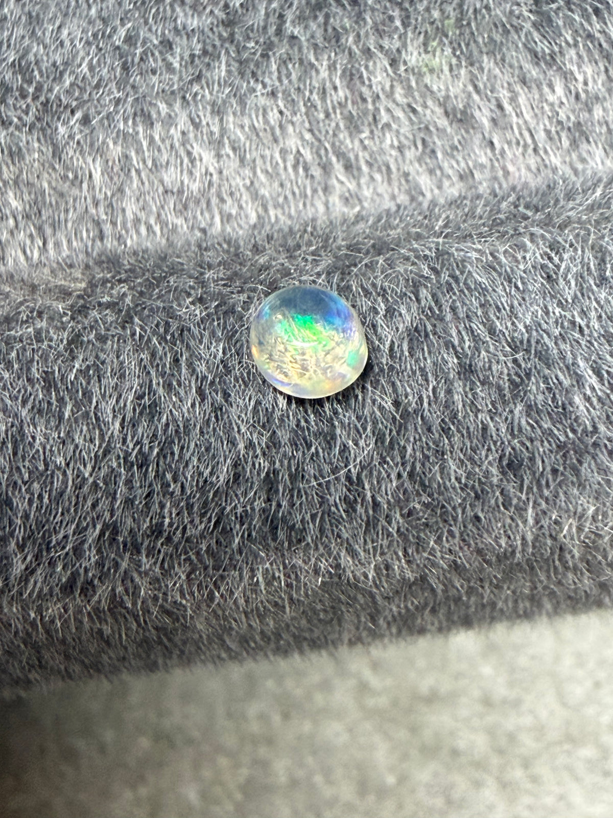 36.Little raindrop blueberry Mexican fire Opal