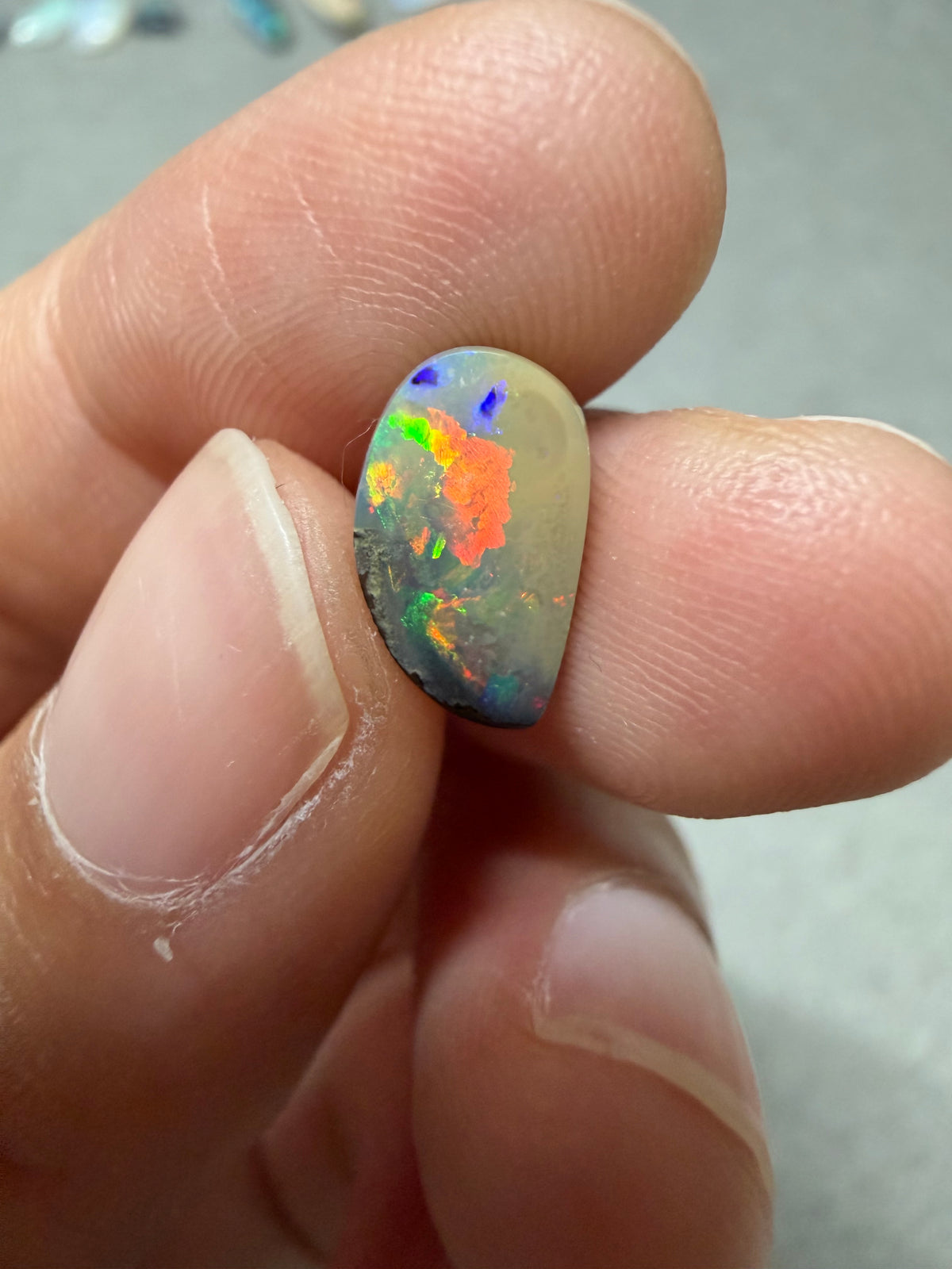31. Bird Boulder Opal