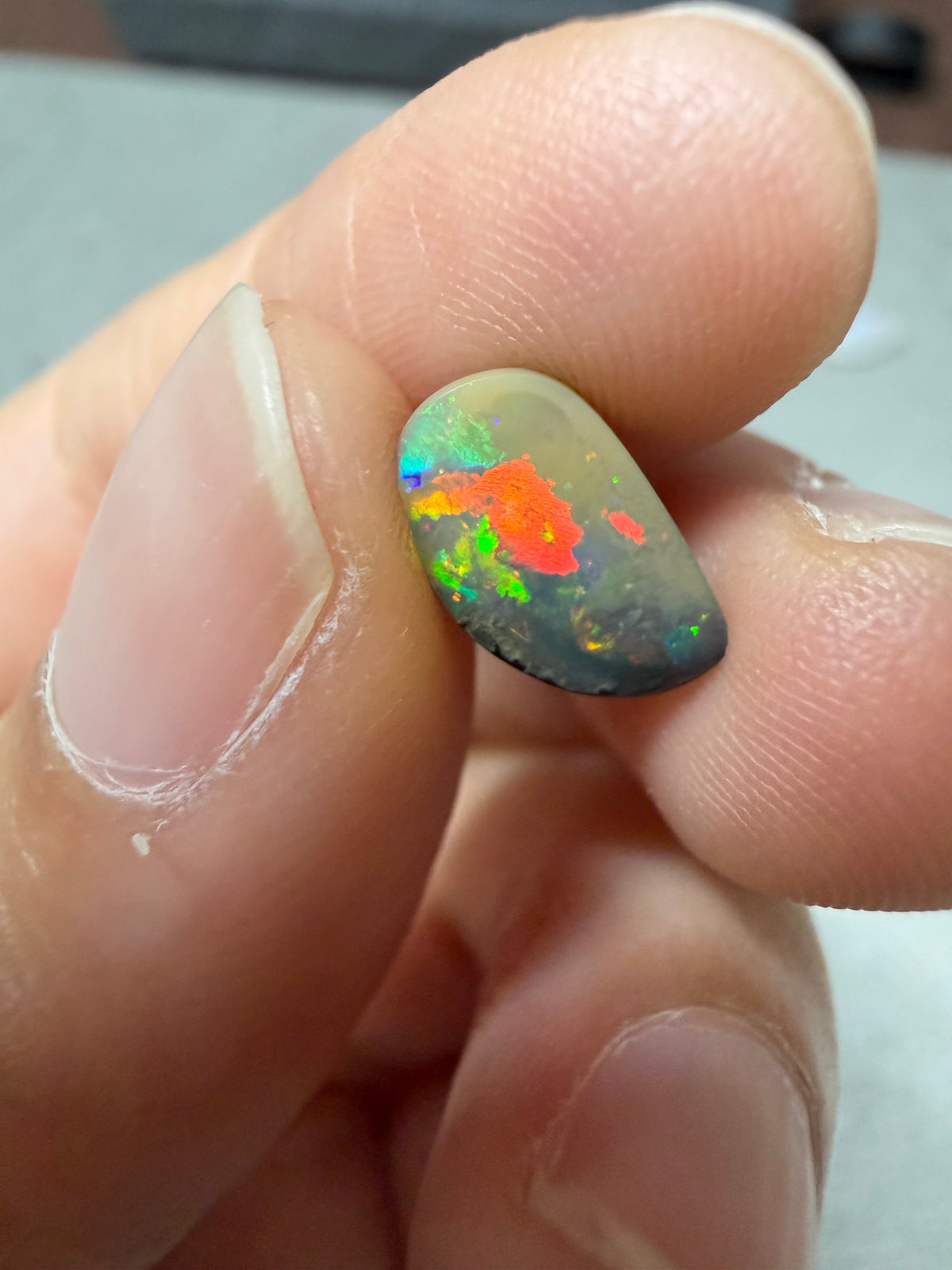 31. Bird Boulder Opal