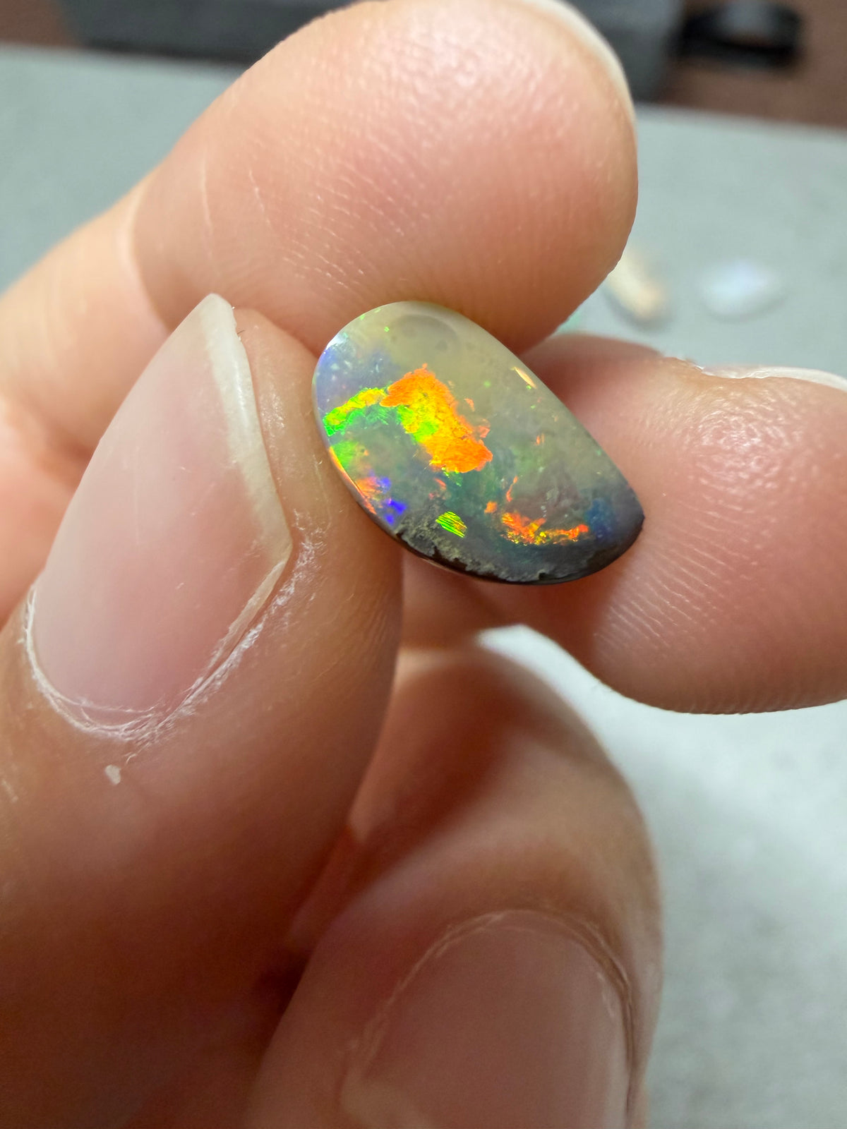 31. Bird Boulder Opal
