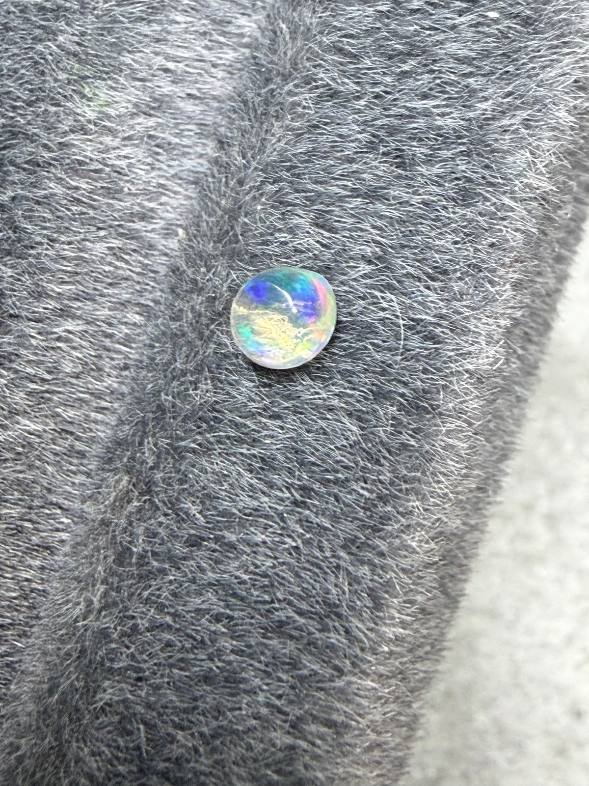 36.Little raindrop blueberry Mexican fire Opal