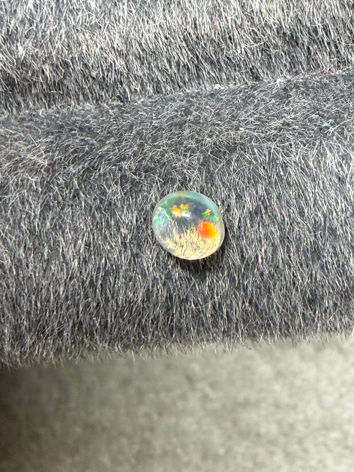 36.Little raindrop blueberry Mexican fire Opal