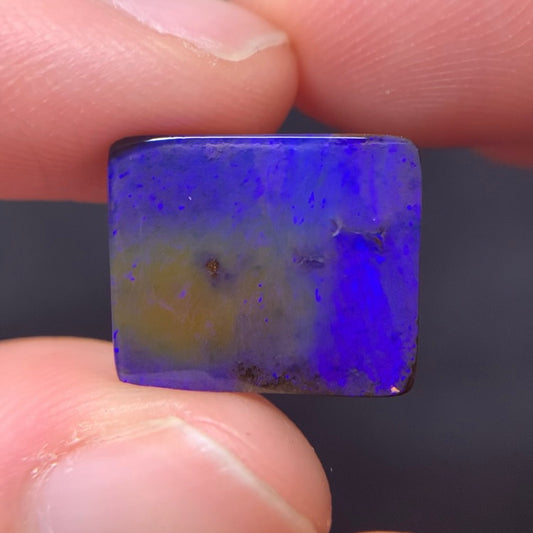 Boulder Opal-6ct