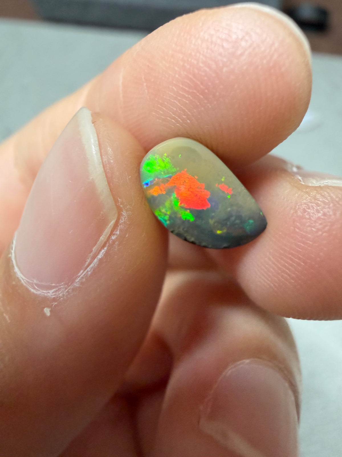 31. Bird Boulder Opal