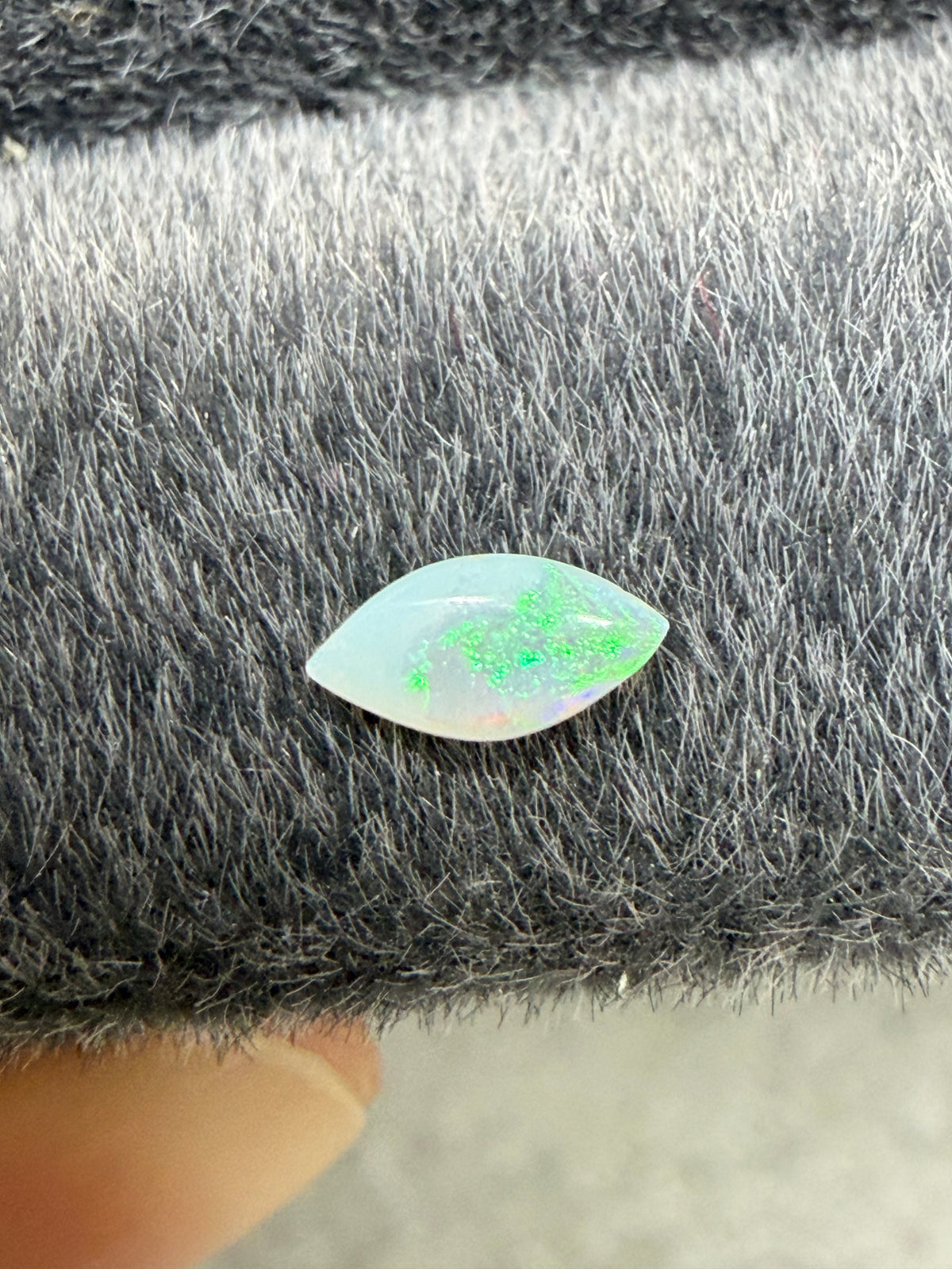 1.6x3 Surprise marquise