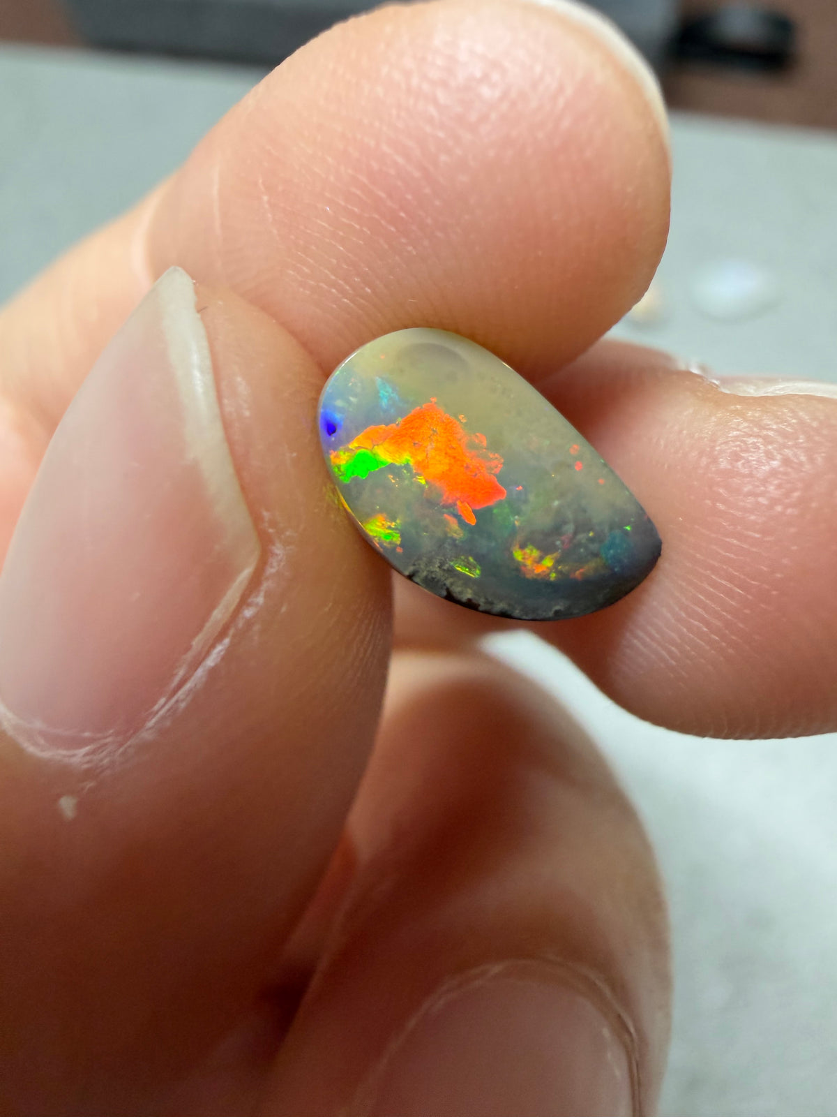 31. Bird Boulder Opal