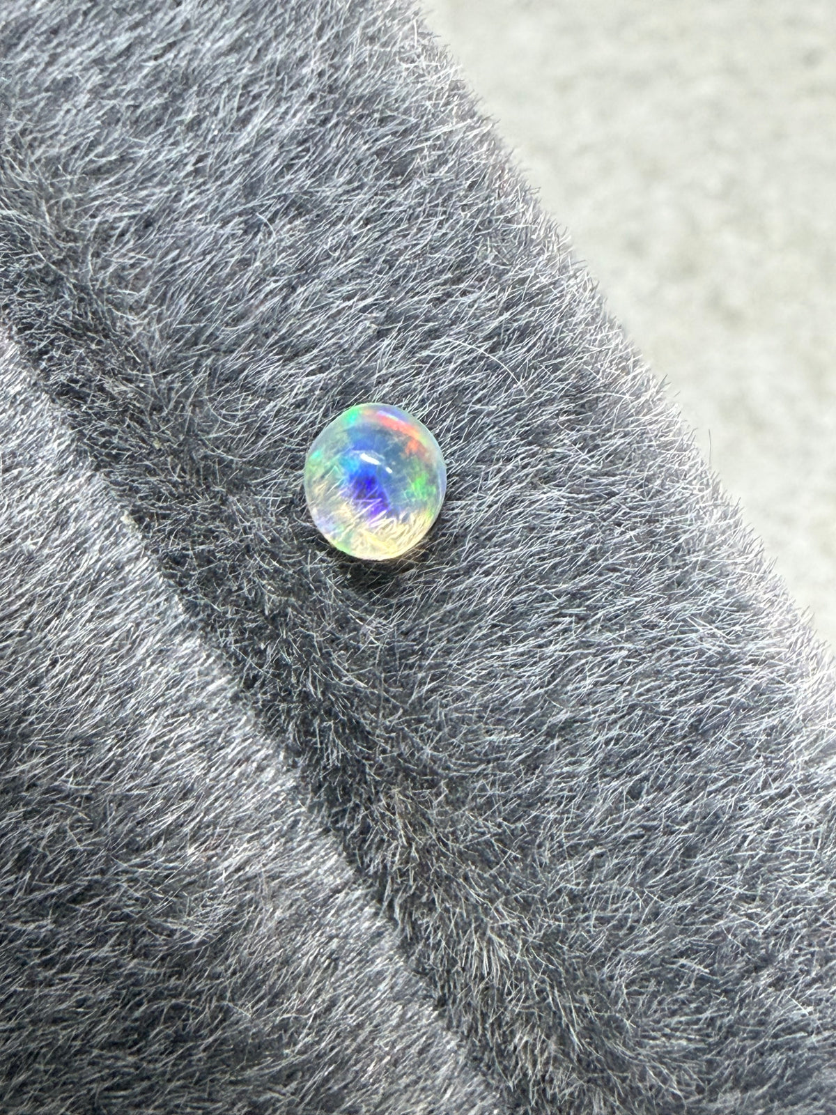 36.Little raindrop blueberry Mexican fire Opal