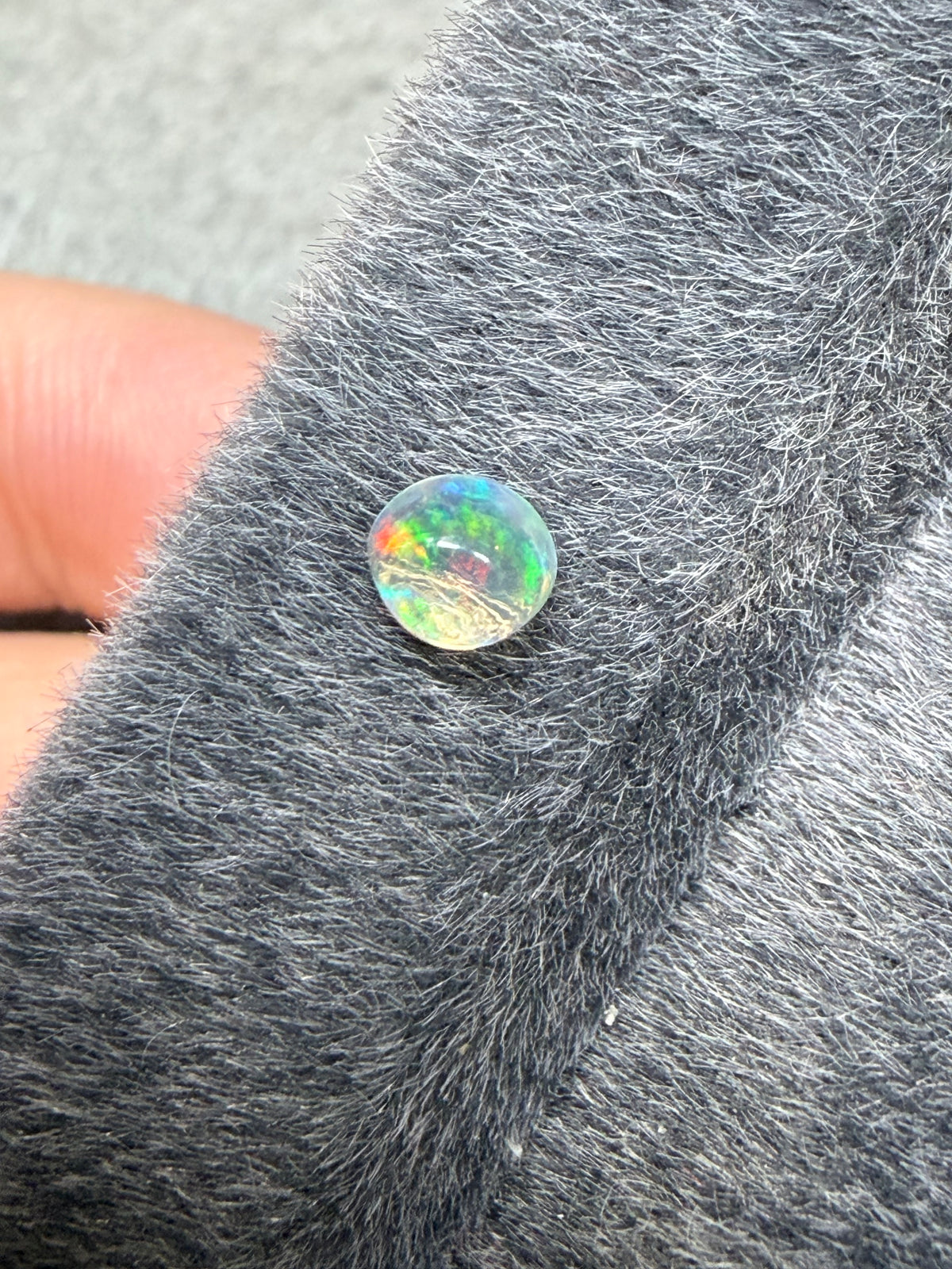 36.Little raindrop blueberry Mexican fire Opal